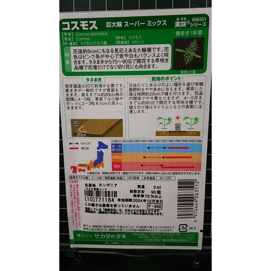 ３袋セット コスモス 巨大輪 スーパー 秋桜 種 郵便は送料無料_画像2