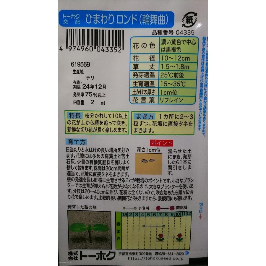 ３袋セット 切花用 ひまわり ロンド 輪舞曲 向日葵 種 郵便は送料無料_画像2