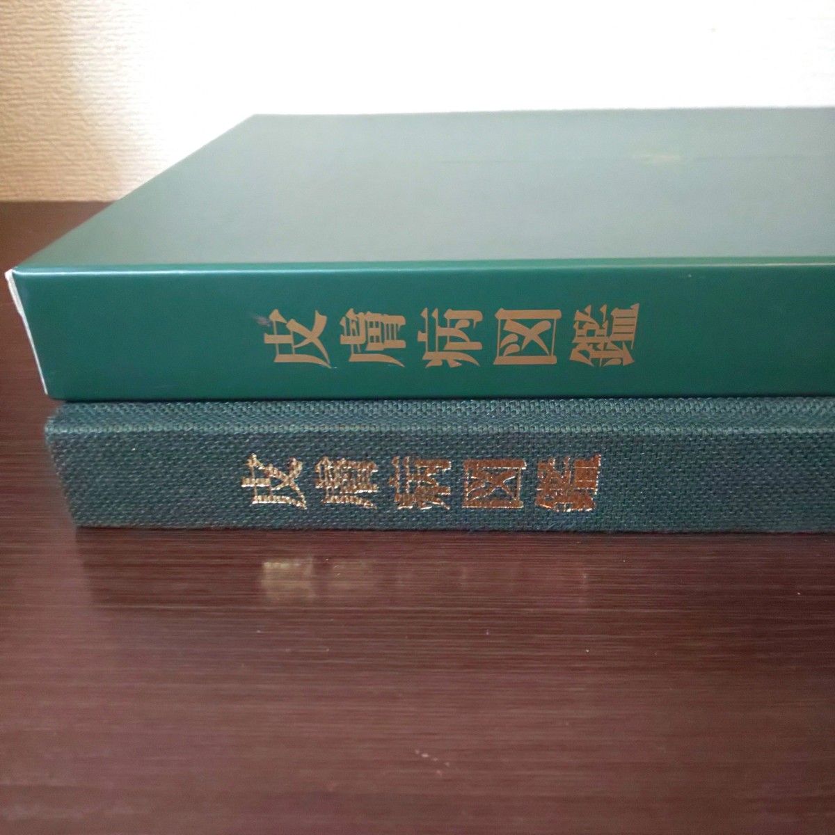 大正製薬 皮膚病図鑑 医学 本 図鑑 皮膚病 参考書 非売品 限定 美品 