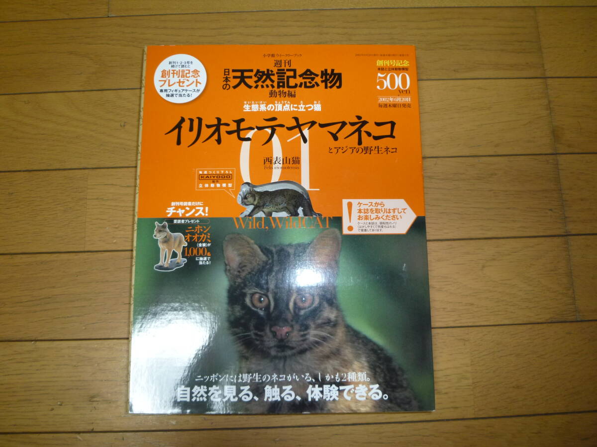 i rio moteyama cat weekly japanese memory thing [ solid model attaching ]