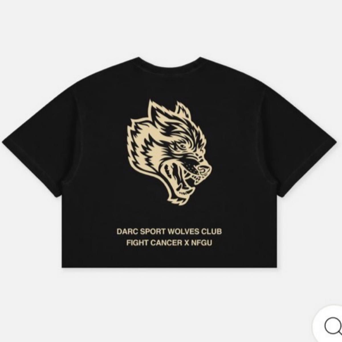 ダルクスポーツ Fight Cancer × NFGU (Cropped) Tシャツ＆パーカーセットショート丈