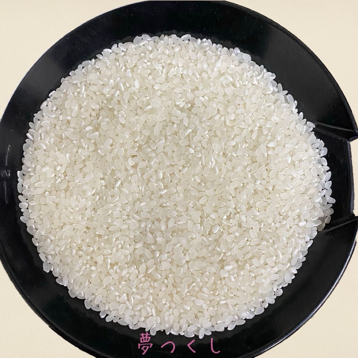 夢つくし 10kg(5kg×2) 令和5年《リピーター様多数》厳選米 福岡県産 白米 美味しい お米 安い