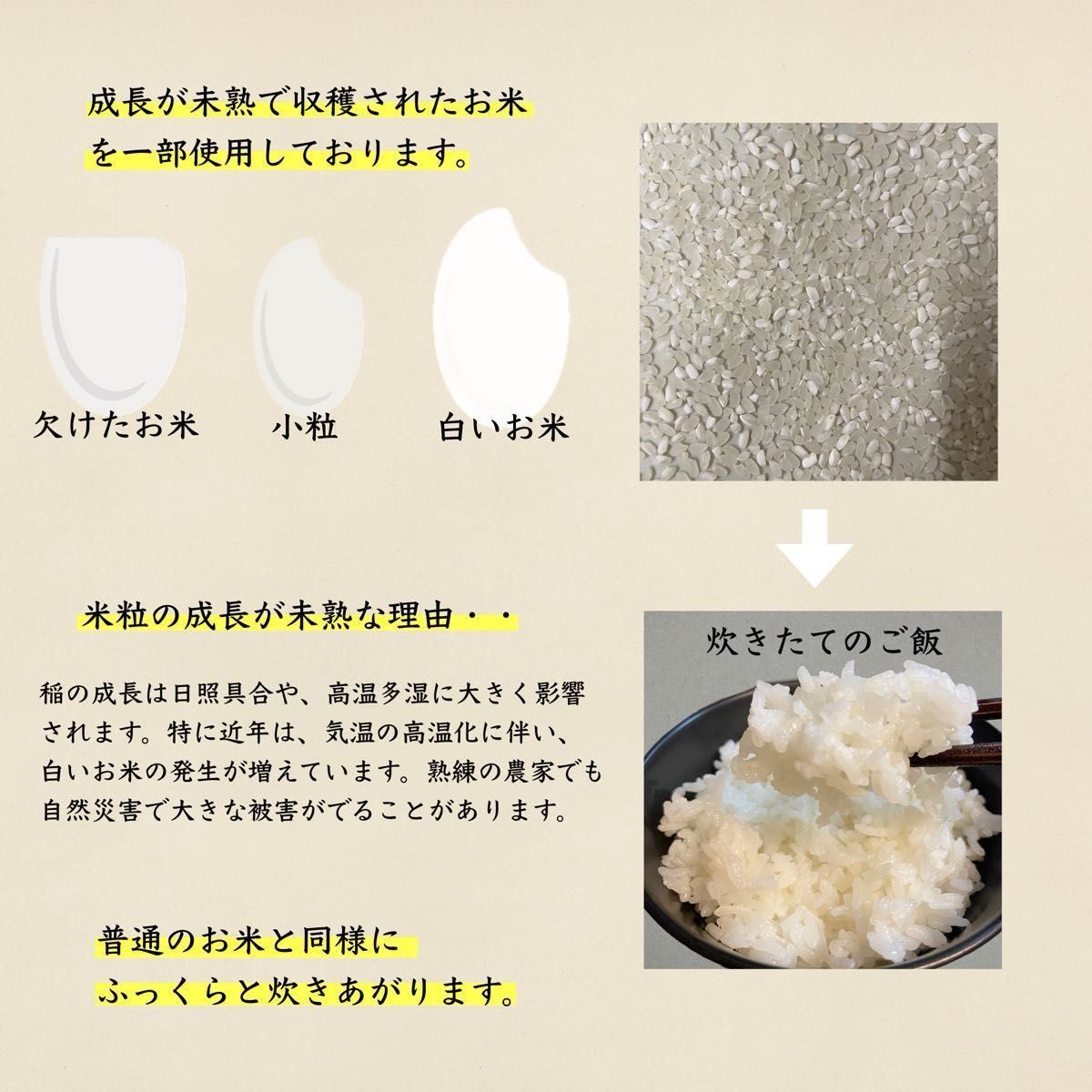 生活応援米 20kg＋もち米セット コスパ米 お買い得 お米 九州産 激安 美味しい 安い 訳あり 精米 白米 ブレンド米