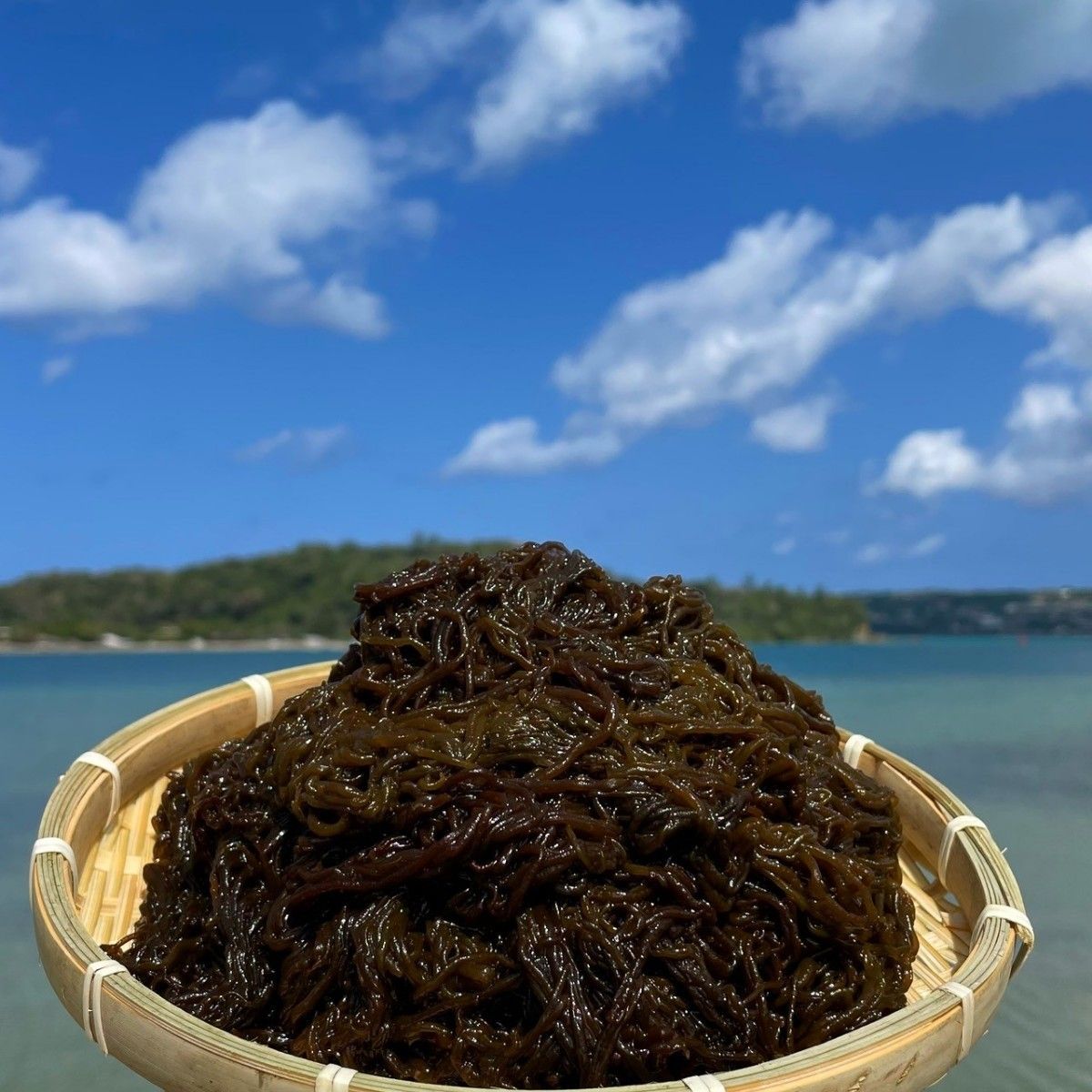 沖縄県産太もずく1kg(500g×2パック)太くて長～い塩蔵もずく♪送料無料 沖縄特産品 沖縄土産 沖縄料理