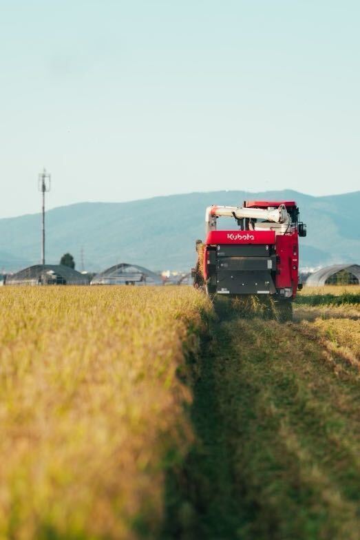 新米 農家直送 令和5年産 北海道 安田農場産 一等米 ななつぼし 24kg精米の画像3