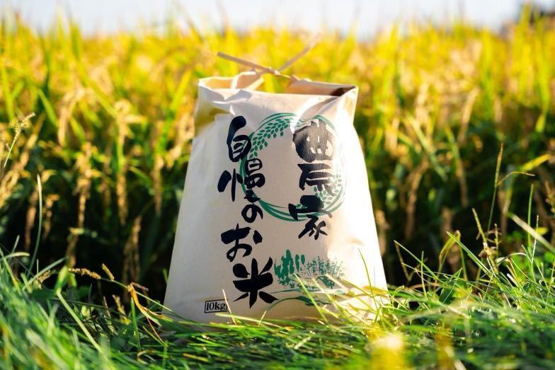  новый рис сельское хозяйство дом прямая поставка . мир 5 год производство Hokkaido дешево рисовое поле сельское хозяйство место производство один и т.п. рис .....10kg неочищенный рис 