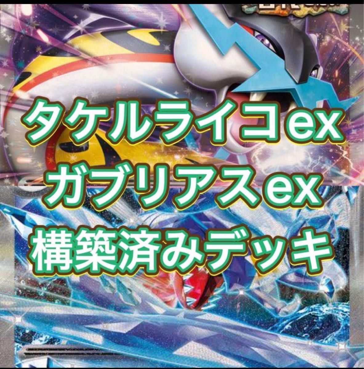 タケルライコex ガブリアス　構築済みデッキ