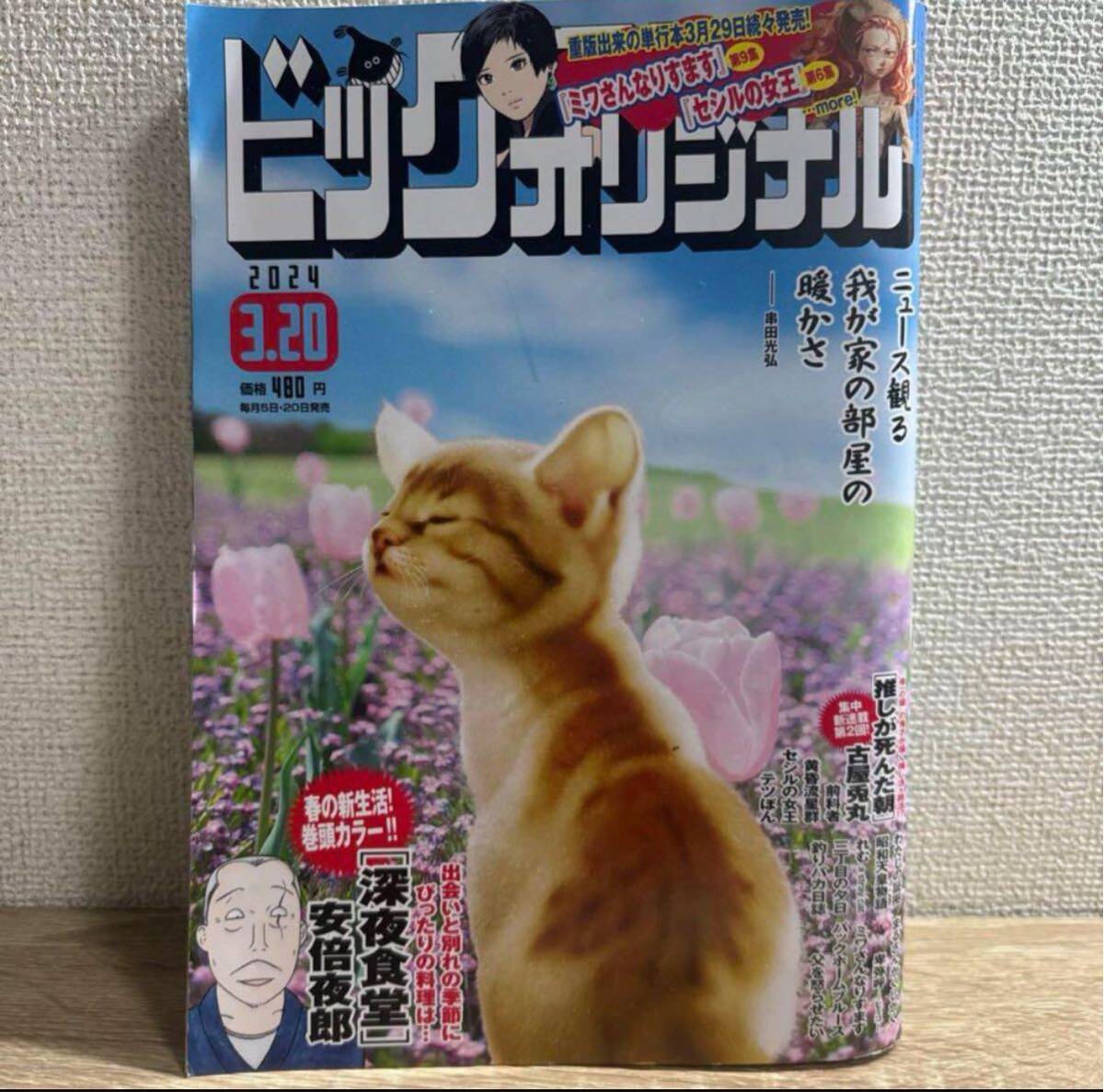 ビッグコミックオリジナル 2024年3月20日 6号 no.6_画像1