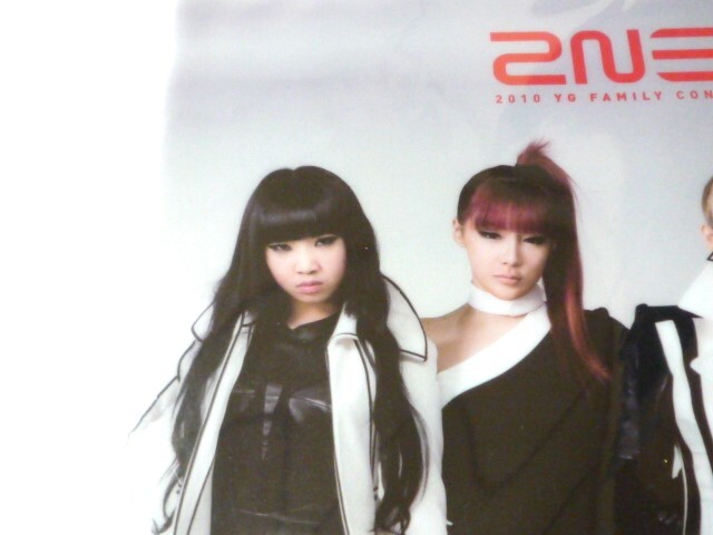 即決/2NE1 YG FAMILY CONCERT 2010 公式グッズ クリアファイル 5枚セット 新品未開封 CL ダラ ボム ミンジ_画像3