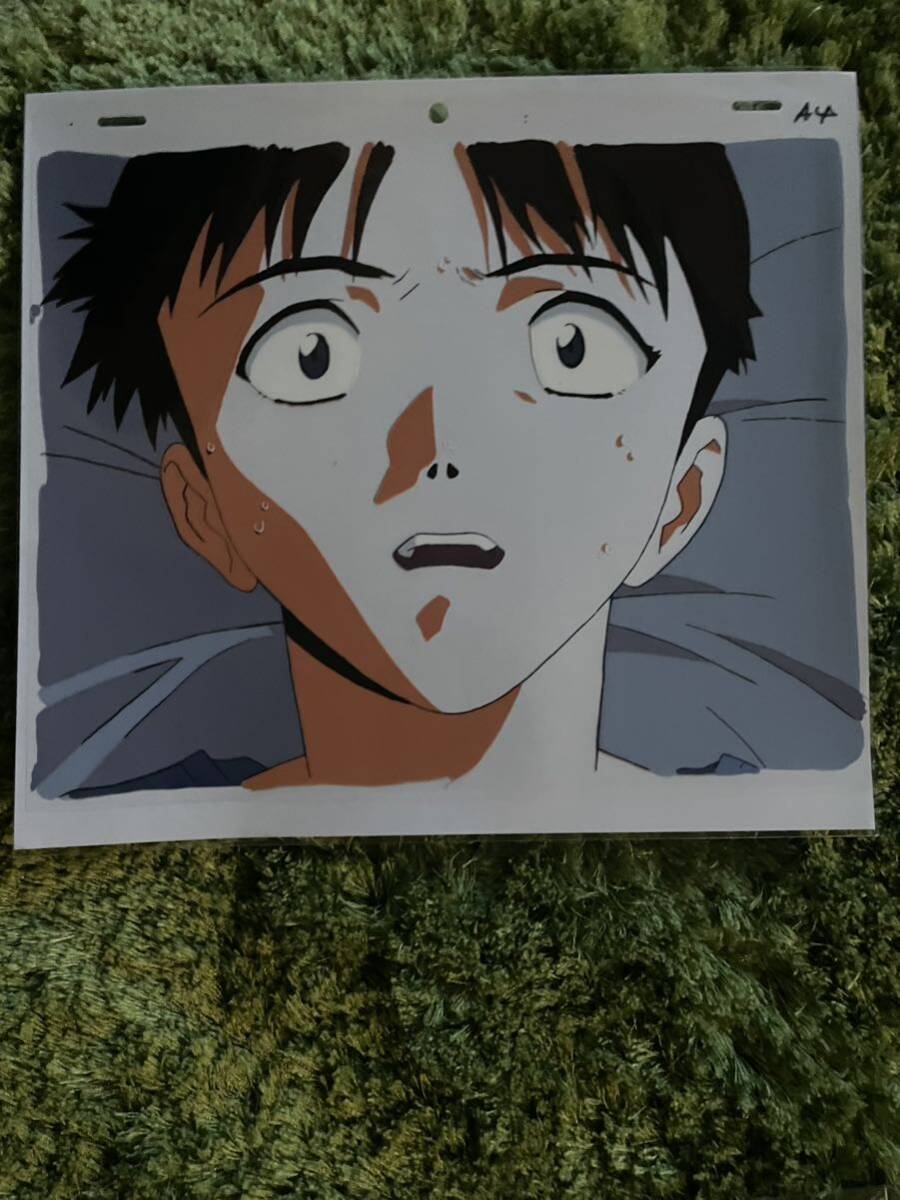 エヴァンゲリオン セル画 碇シンジ 最終話 世界の中心でアイを エヴァンゲリオン セル画 碇シンジ 最終話 世界の中心でアイを