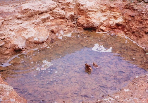 ■二股ラジウム温泉「湯の華300ｇ」＊天然入浴剤＊岩盤浴の効果_画像4