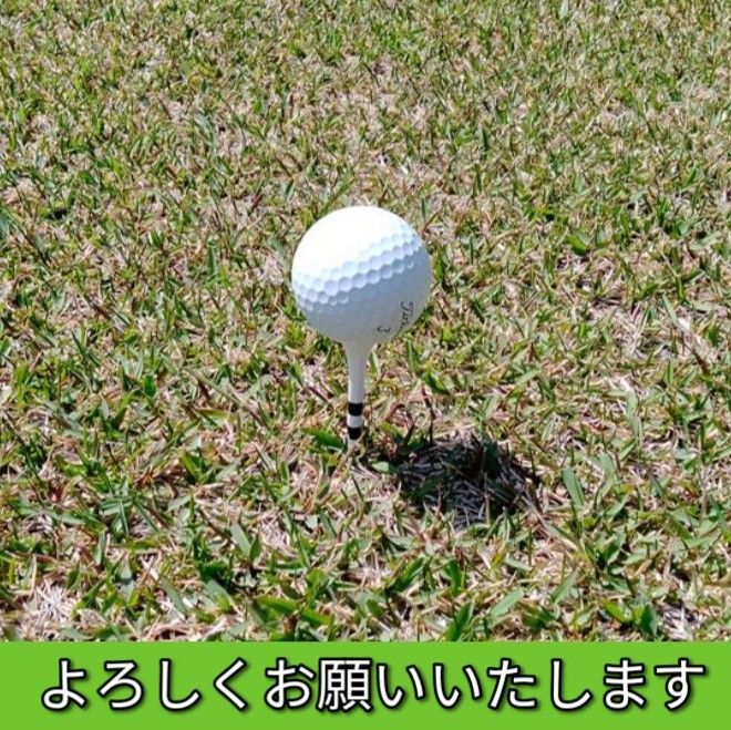 ゴルフティー 83mm 白 100本　竹　バンブー ウッドティー　ゴルフ用品　まとめてお得　ロングティー　新品未使用　