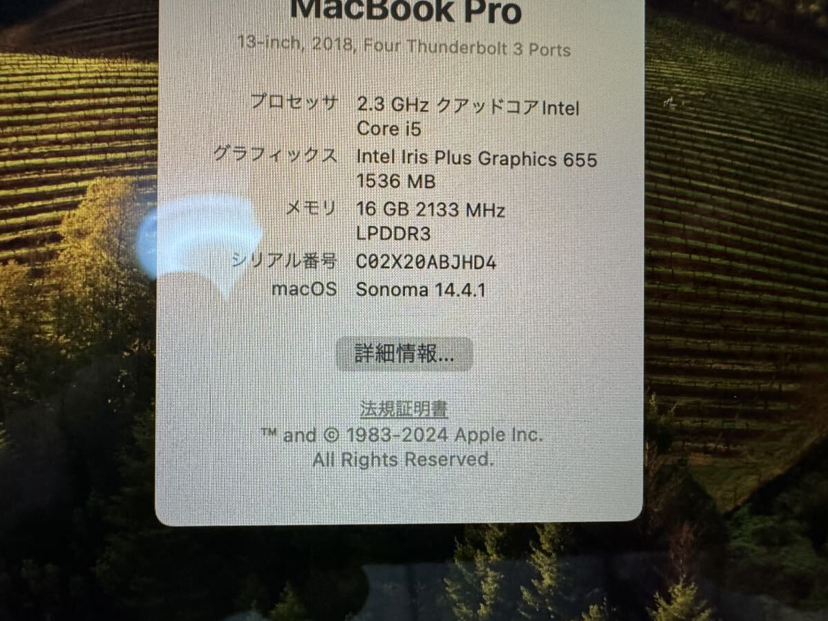 MacBook Pro 2018 A1989 メモリ16GB まあまあ美品 おまけ多数 少々不具合もの画像6