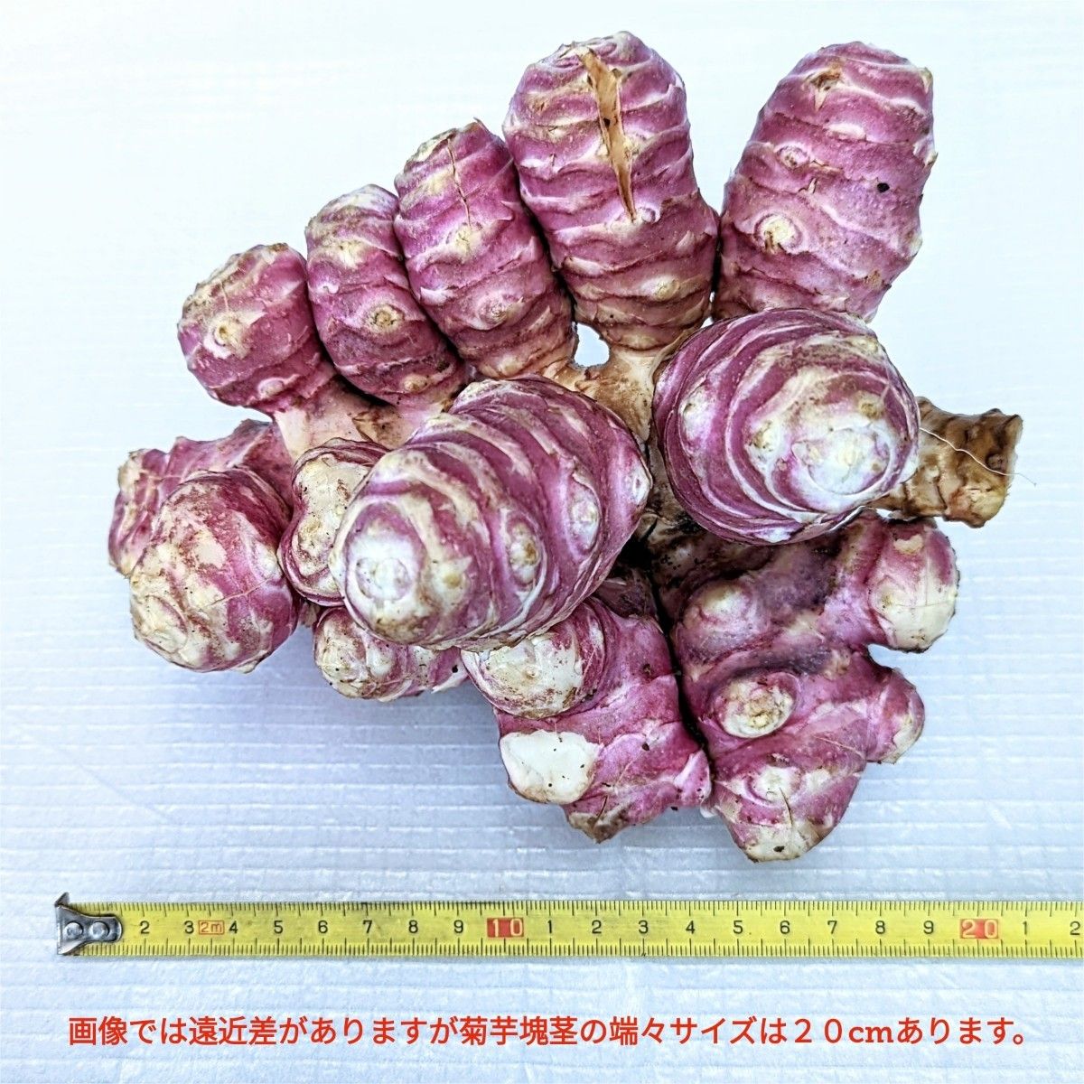 Fuga断捨離中様ご専用♪　フランス紫菊芋パウダー１００g　きくいも　キクイモ　イヌリン　食物繊維　ポリフエノール