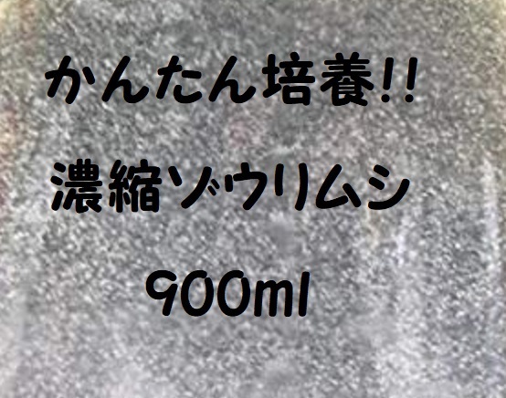 ★【送料無料!!】★濃縮ゾウリムシ種水900ｍｌ★メダカ・グッピー針子・稚魚の生餌!!★生存率アップ!!※培養方法説明書付き!!_約50倍に拡大した画像です