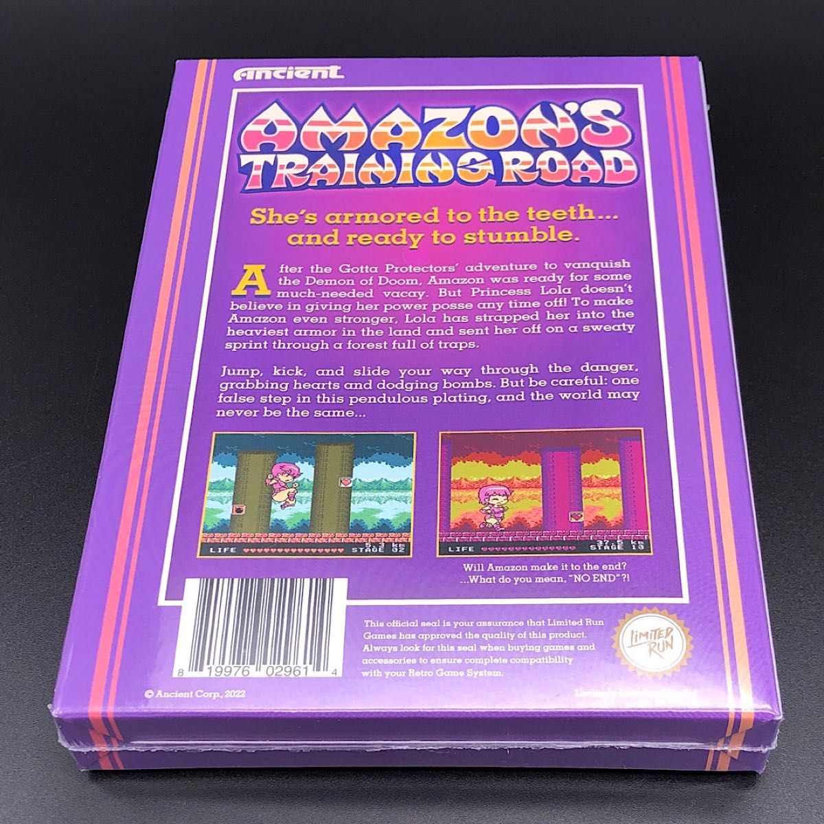 ◯Amazon's Training Road NES ファミコン