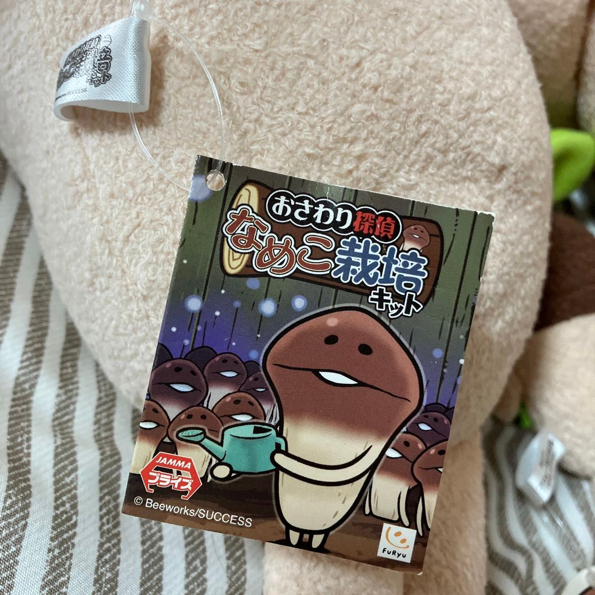 MUSHROOMS おさわり探偵 なめこ栽培キット デラックス BIG MUSHROOMS おさわり探偵 なめこ栽培キット デラックス BIG