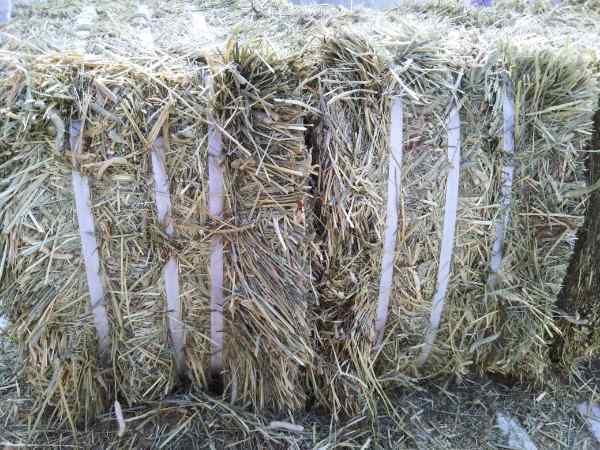  Canada производство chimosi-1 номер .. premium примерно 30kg трава ... стоимость корм 