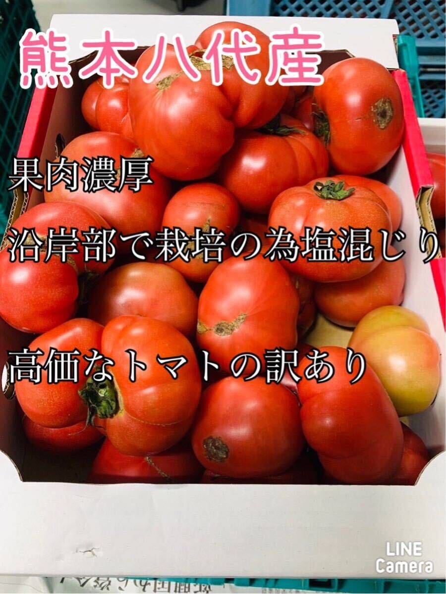 熊本八代 塩混じりトマト訳あり 箱込み約5キロの画像4