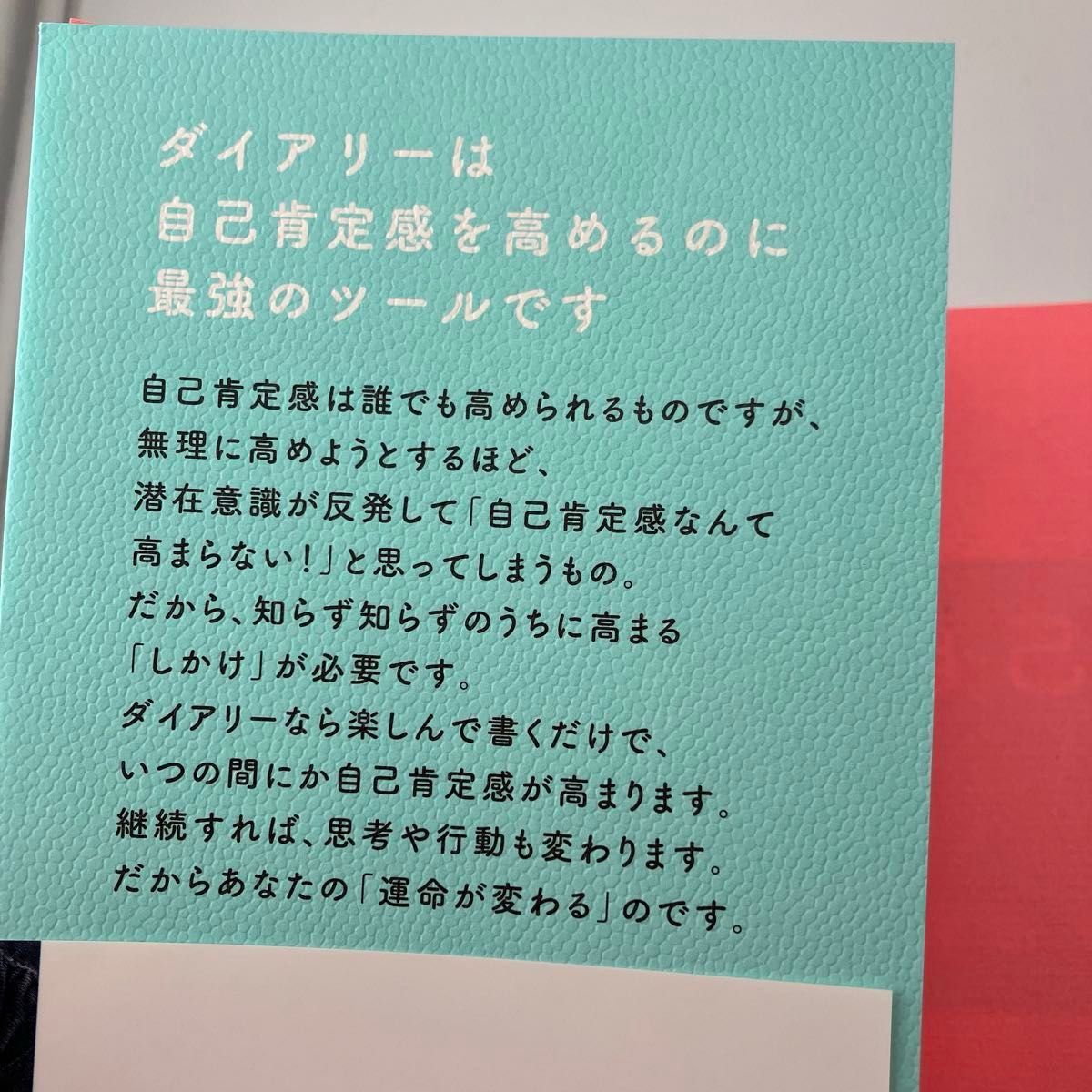 【新品未使用】自己肯定感Diary HSP アドラー　就活　研修　自己啓発