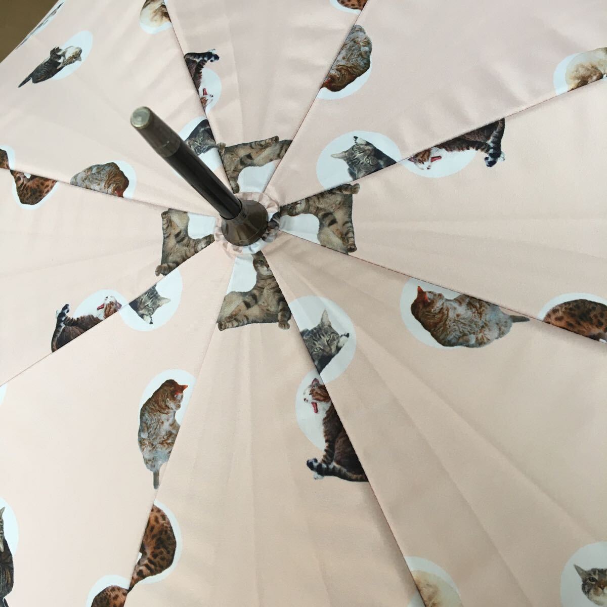 傘 雨傘 日傘 長傘 UVカット 遮光率100％ 超はっ水 検査基準最高クラス ショップジャパン 猫 ねこ ピンク ブルーグレイ ソレイユ 晴雨兼用_画像8