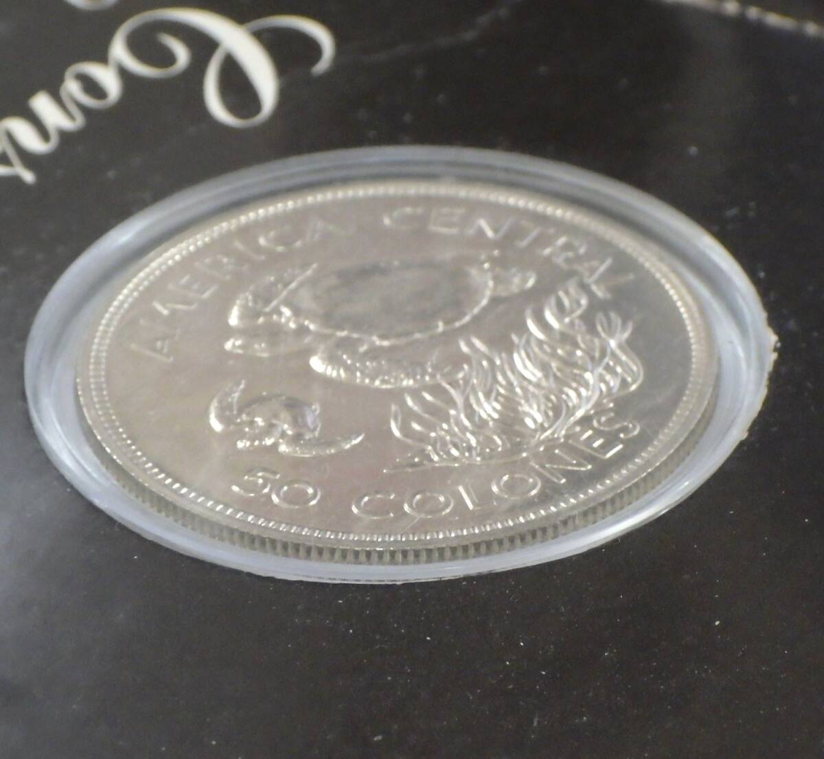 ◇コスタリカ 記念銀貨◇1974年 50 COLONES/50コロン銀貨 アオウミガメ  WWF 世界自然保護基金創立記念の画像8