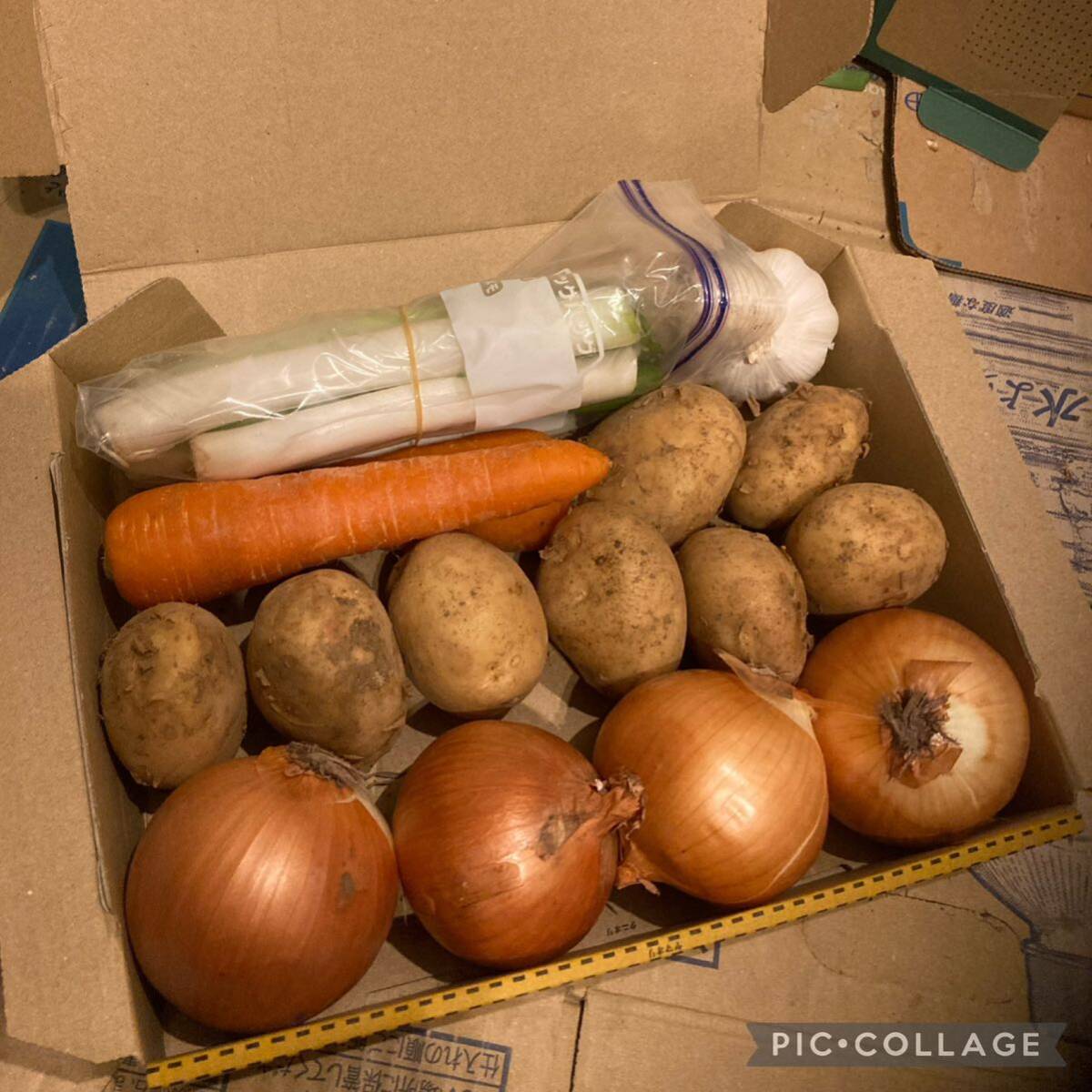 即買い歓迎 野菜詰め合わせ スペシャルコンパクトBOX の画像2
