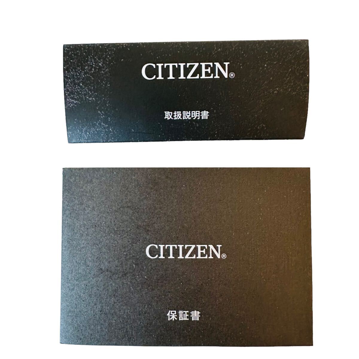 【新品】仮面ライダーV3 45周年記念腕時計 シチズン CITIZENの画像9