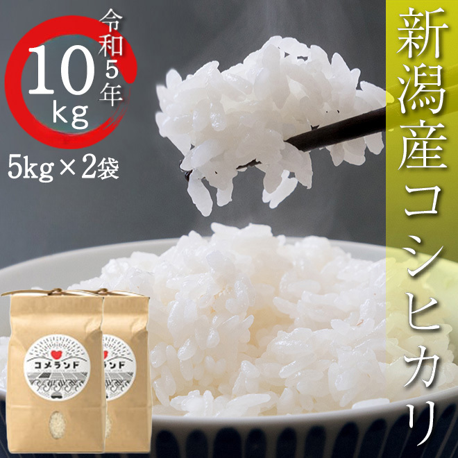 令和5年 10kg コシヒカリ 米 新潟産 お米 こしひかり_画像1