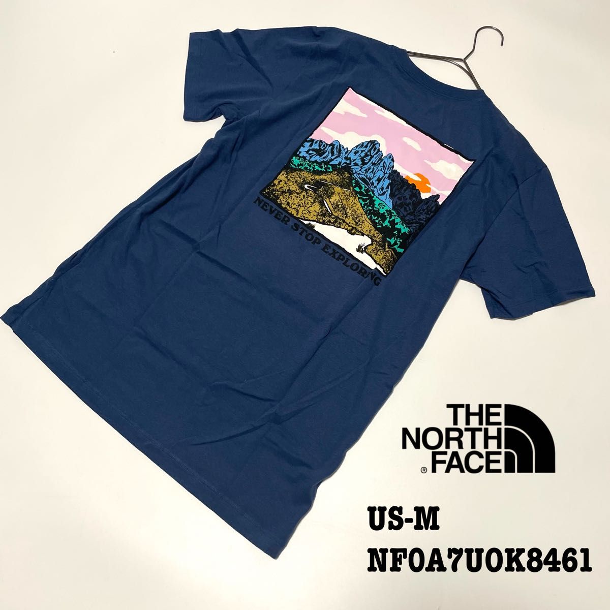 新品未使用 US-M ノースフェイス Tシャツ 半袖 グラフィック プリント ハーフドーム 登山 SHADY BLUE 海外限定