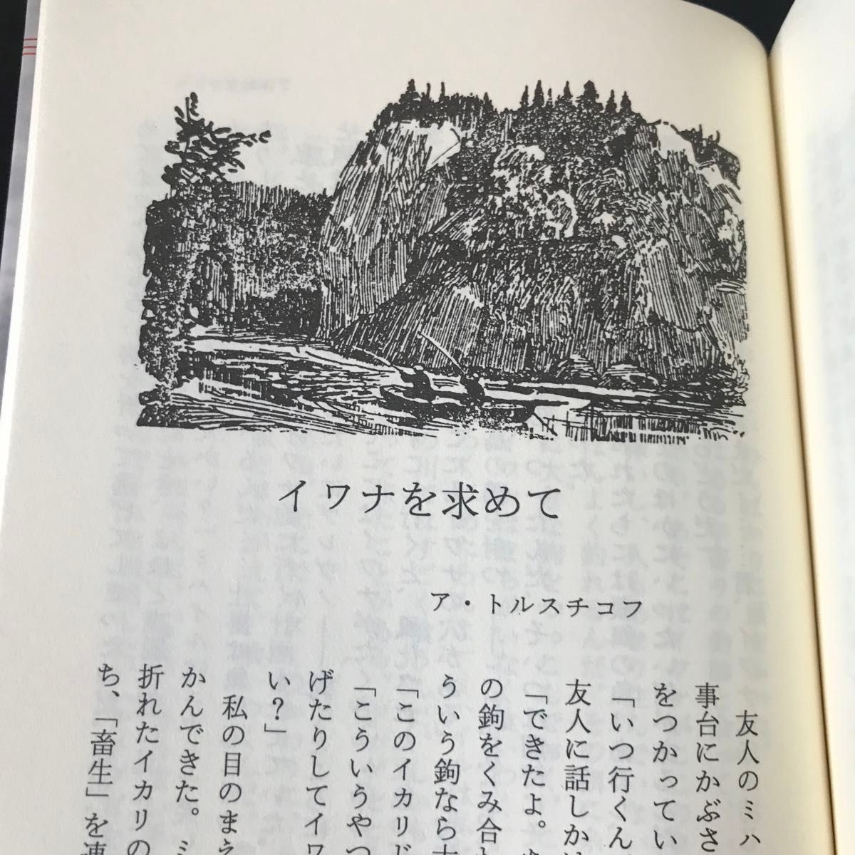 シベリアの釣/D・サマーリン編