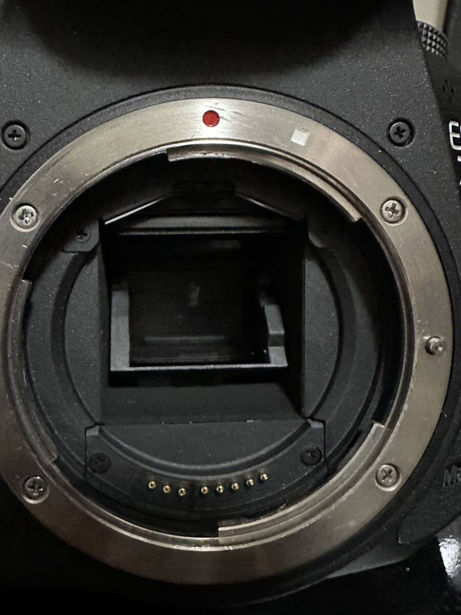 1円から!! EF100-400mm F4.5-5.6L IS II USM EF100-400LIS2+ Canon EOS 7D mk2の画像3