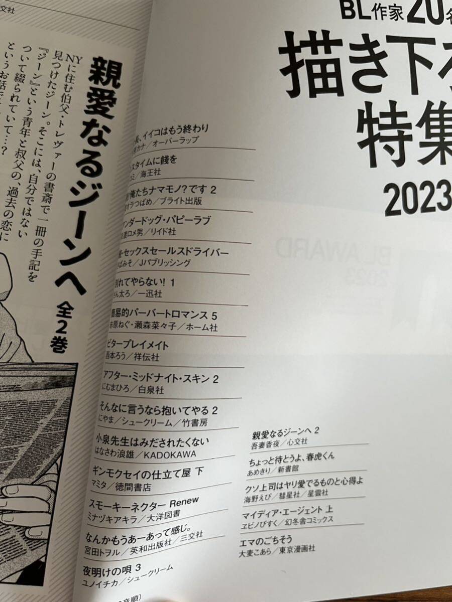 blアワード2023 小冊子 描き下ろしの画像2