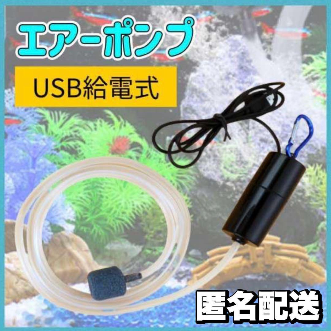 エアーポンプ 黒 水槽 魚 エアレーション 小型 USB 持ち運びの画像1