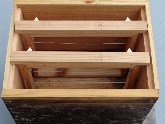 杉 日本蜜蜂巣箱材 自然乾燥灰汁抜き済み 276mm（長）×24ｍｍ（厚）×150ｍｍ幅 40枚：ヤマト便Fサイズの画像8