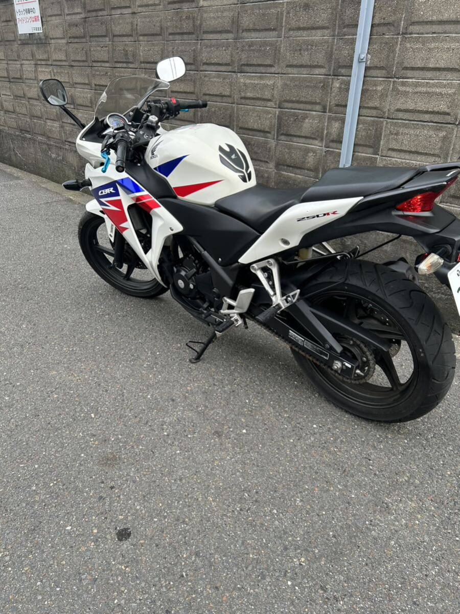 CBR250R cbr250 MC41 ホンダ_画像3