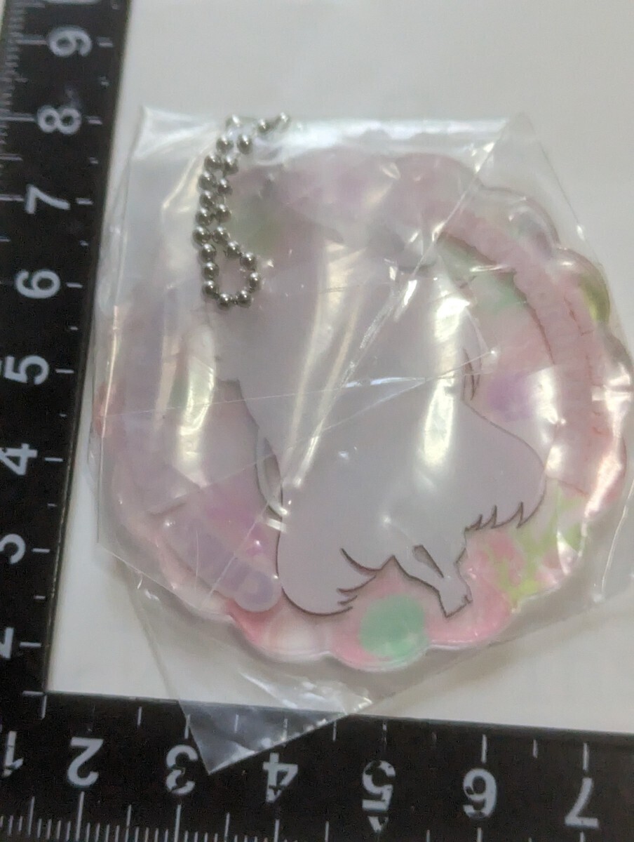 プリキュアシリーズ アクリルポールチェーンマスコット ナイロン未開封 中古の画像2