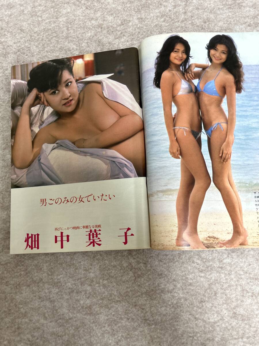 週刊平凡パンチ　1980年　昭和55年12月29日　リリーズピンナップとグラビア　小川エレナ　長谷川由美　薬師丸ひろ子_画像5