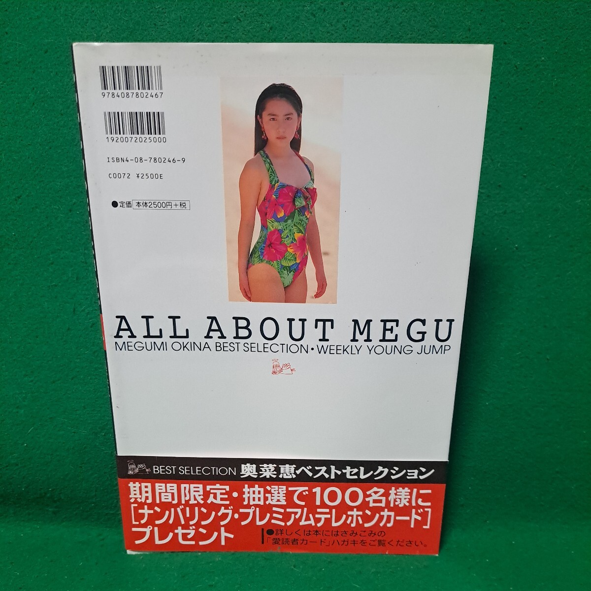 美品 奥菜恵 写真集 ベストセレクション ALL ABOUT MEGU 帯付 1997年初版本 送料230円の画像4