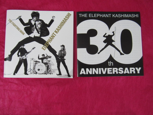 2CD / THE ELEPHANT KASHIMASHI エレファントカシマシ / THE FIGHTING MANの画像6