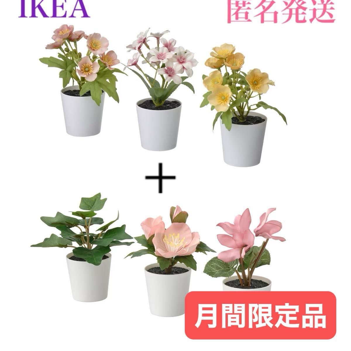 【新品】イケア IKEA フェイカ フェイクグリーン 鉢カバー付き6 cm 3ピース × 2種 フラワーミックス グリーン/ピンク