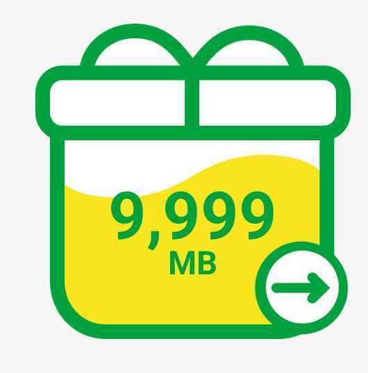 マイネオパケットギフト 約10GB(9,999MB) ③_画像1