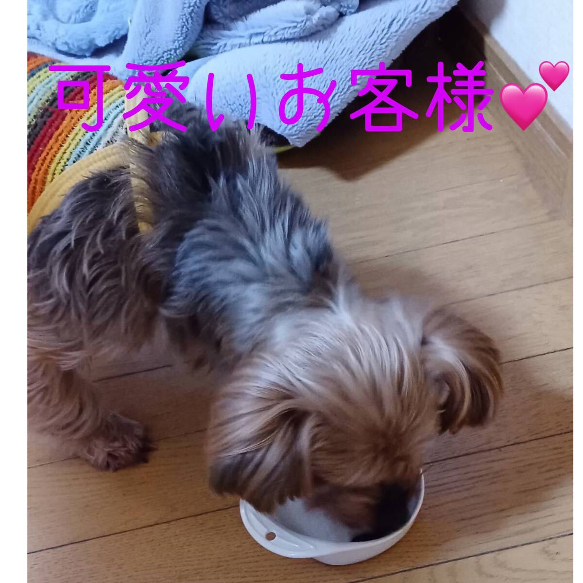 一人のお客様を大切にしたい★鹿肉ジャーキー300g★食べ応え十分!★愛犬のおやつ_画像3