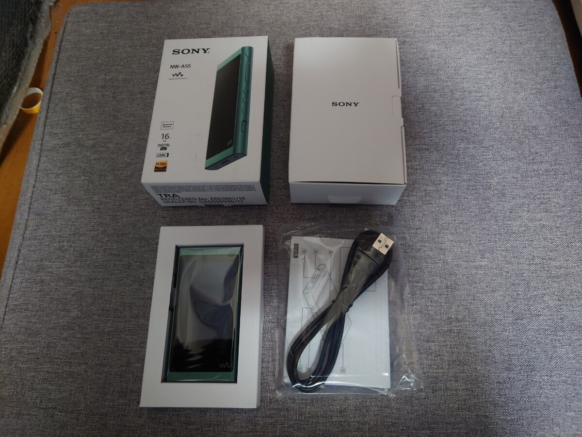 SONY NW-A55 (G) [16GB ホライズングリーン]（新品未使用）海外モデルの画像1