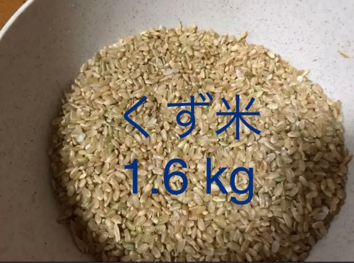 【土曜日発送】くず米　1.6kg　エサ米　玄米