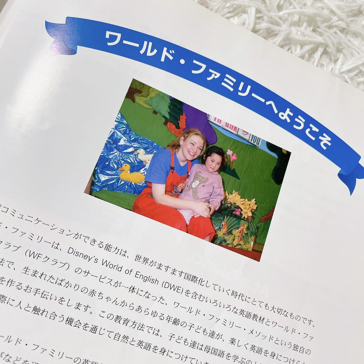 DWE ディズニー英語 ワールドファミリー インデックス 冊子 単語 まとめ売り 幼児教育 Disney ファーストステップ 知育_画像6