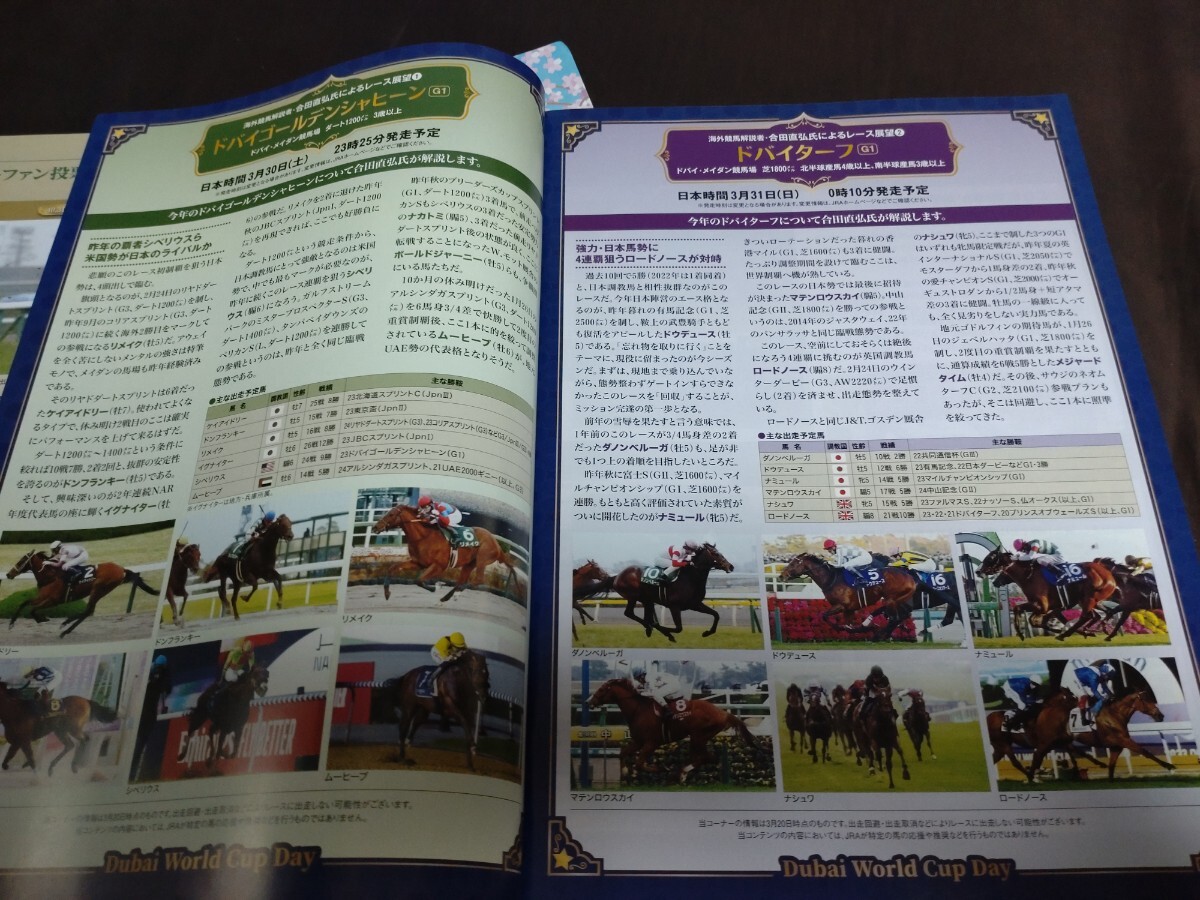 JRA*2024 year Dubai World Cup & no. 68 times Osaka cup * special version color re- Pro *u in z, place out version 