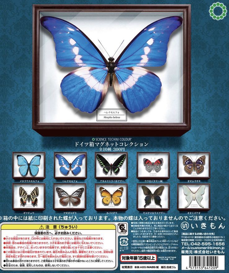 * Gacha Gacha * beautiful butterfly . Germany box magnet collection gi borderless .u