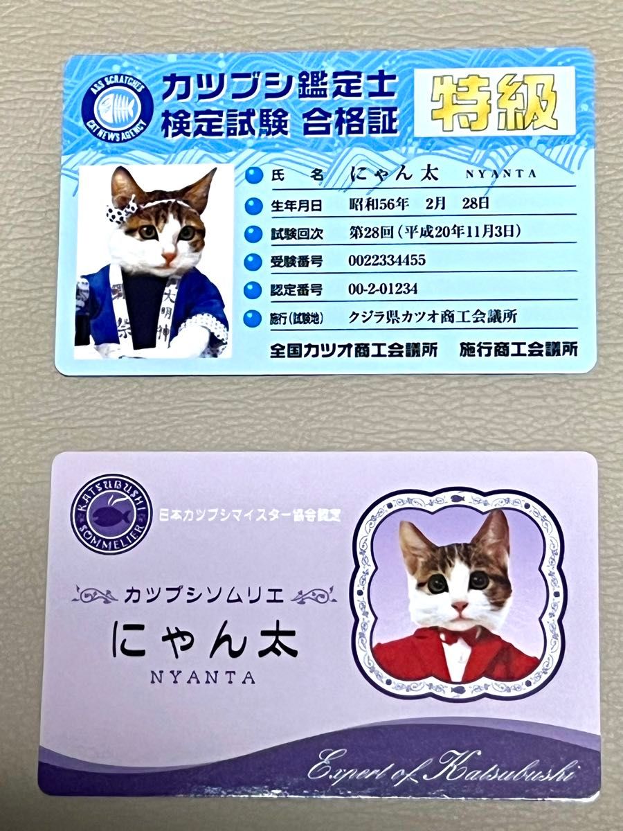 希少　なめ猫カード　なめんなよ　昭和　レトロ  パロディ