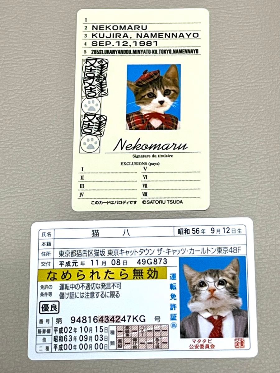 希少　なめ猫カード　なめんなよ　昭和　レトロ　パロディ